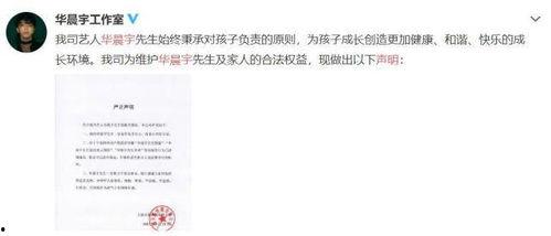 娱乐圈吃瓜ppt,PPT带你领略幕后风云