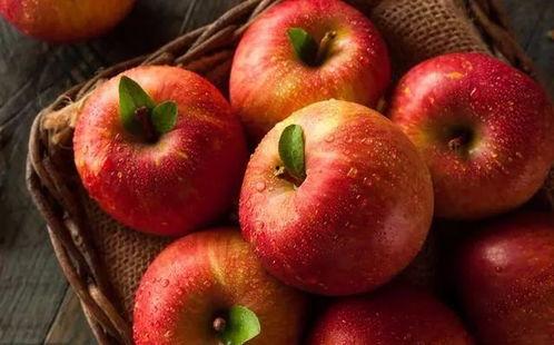 娱乐吃瓜酱苹果下载安装